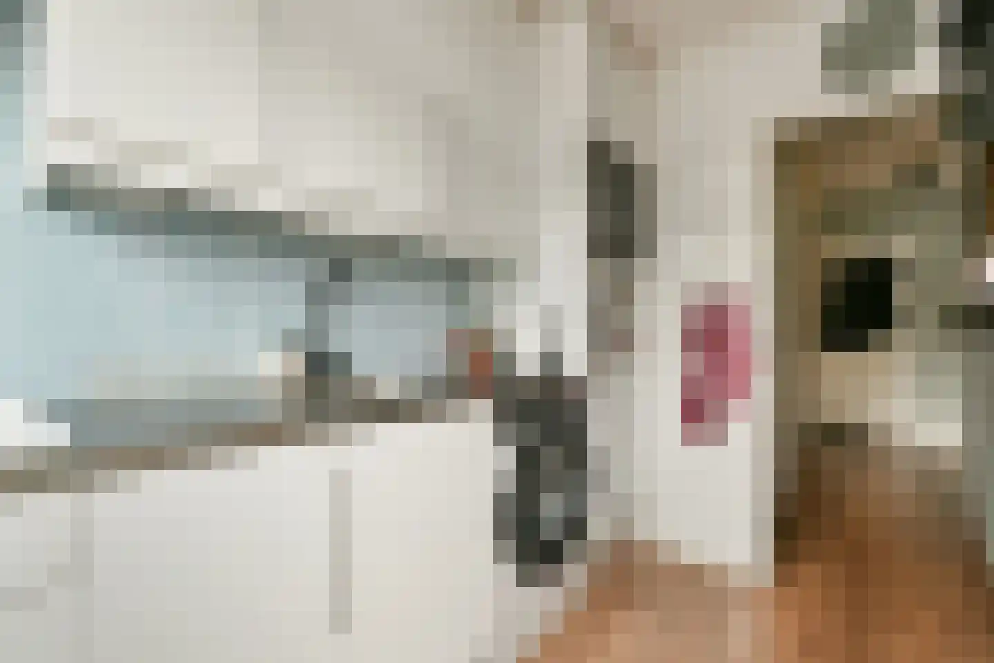 Populierenlaan 9 Zwanenburg thumbnail 11