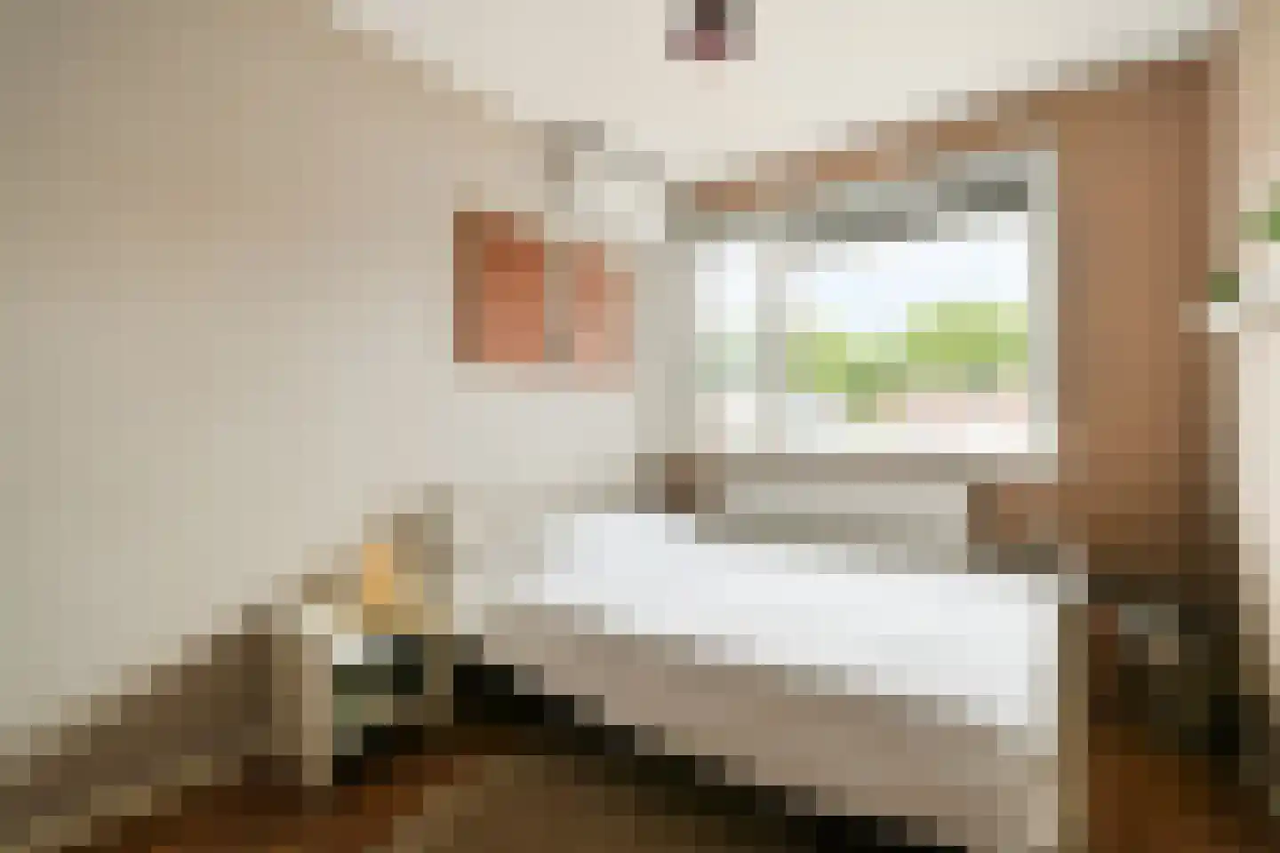 Populierenlaan 9 Zwanenburg thumbnail 17