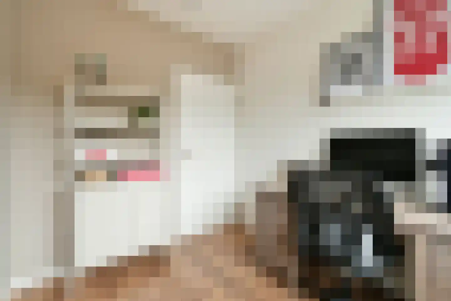 Populierenlaan 9 Zwanenburg thumbnail 22