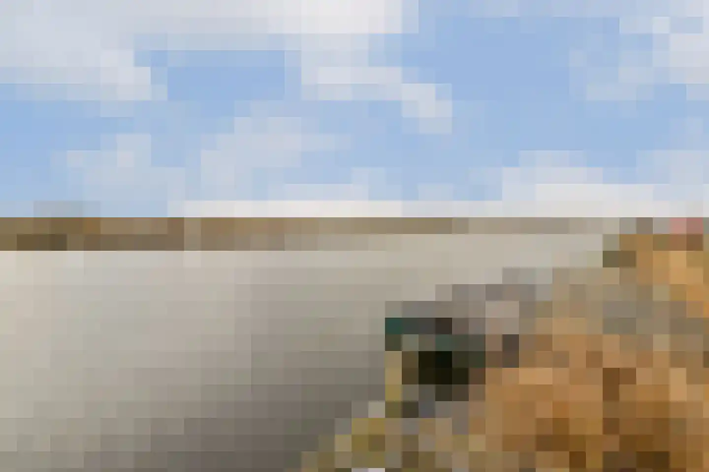 Populierenlaan 9 Zwanenburg thumbnail 27
