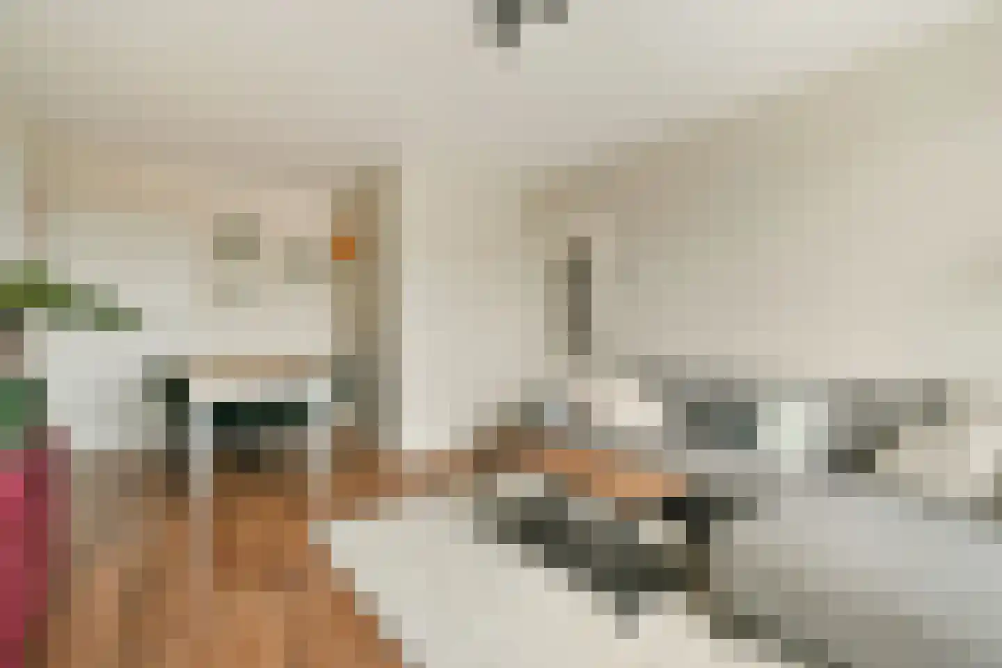 Populierenlaan 9 Zwanenburg thumbnail 6