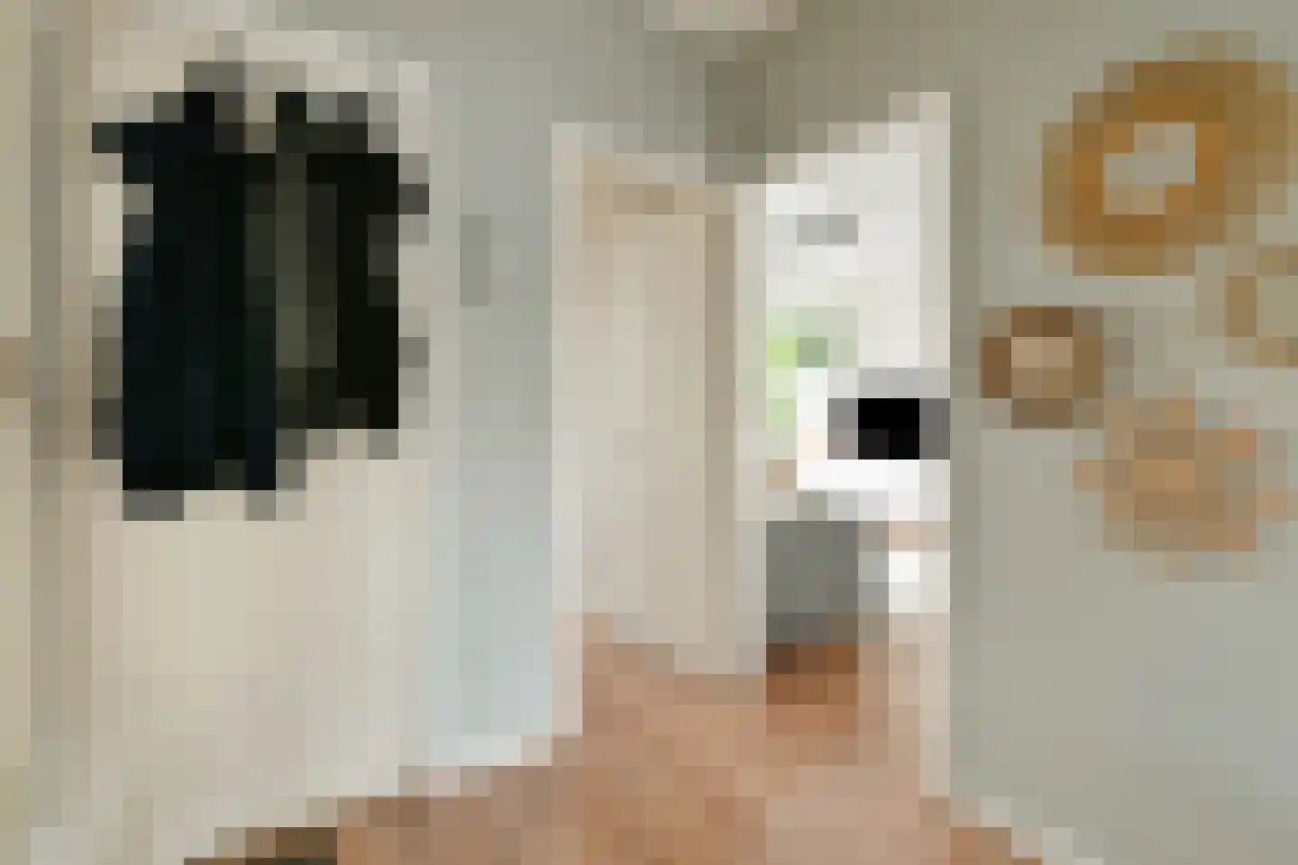 Populierenlaan 9 Zwanenburg thumbnail 9