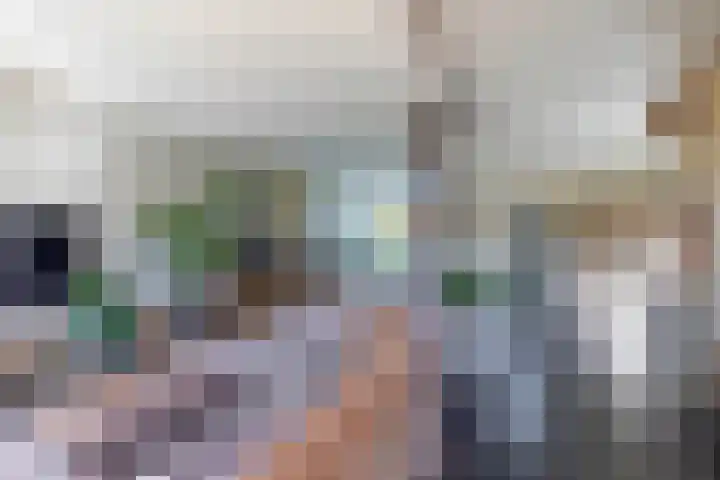 Populierenlaan 90 Krimpen aan den IJssel thumbnail 12