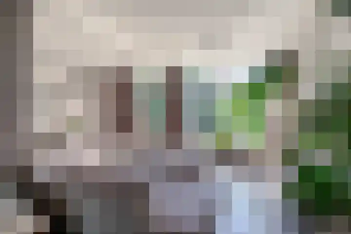 Populierenlaan 90 Krimpen aan den IJssel thumbnail 13