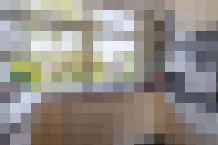 Populierenlaan 90 Krimpen aan den IJssel thumbnail 19