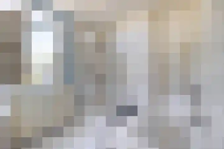 Populierenlaan 90 Krimpen aan den IJssel thumbnail 23