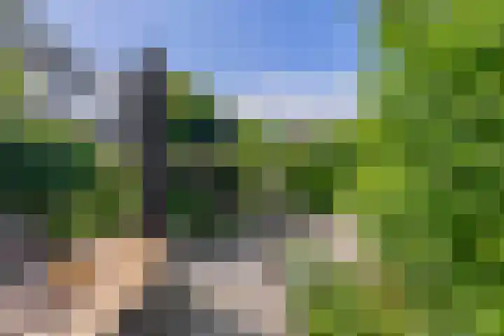 Populierenlaan 90 Krimpen aan den IJssel thumbnail 38