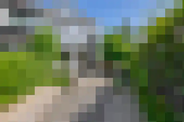 Populierenlaan 90 Krimpen aan den IJssel thumbnail 39