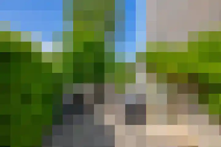 Populierenlaan 90 Krimpen aan den IJssel thumbnail 41