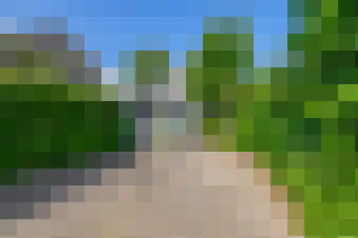 Populierenlaan 90 Krimpen aan den IJssel thumbnail 46