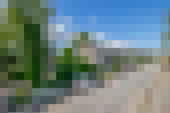 Populierenlaan 90 Krimpen aan den IJssel thumbnail 47