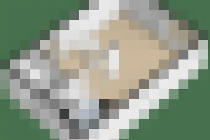 Populierenlaan 90 Krimpen aan den IJssel thumbnail 51