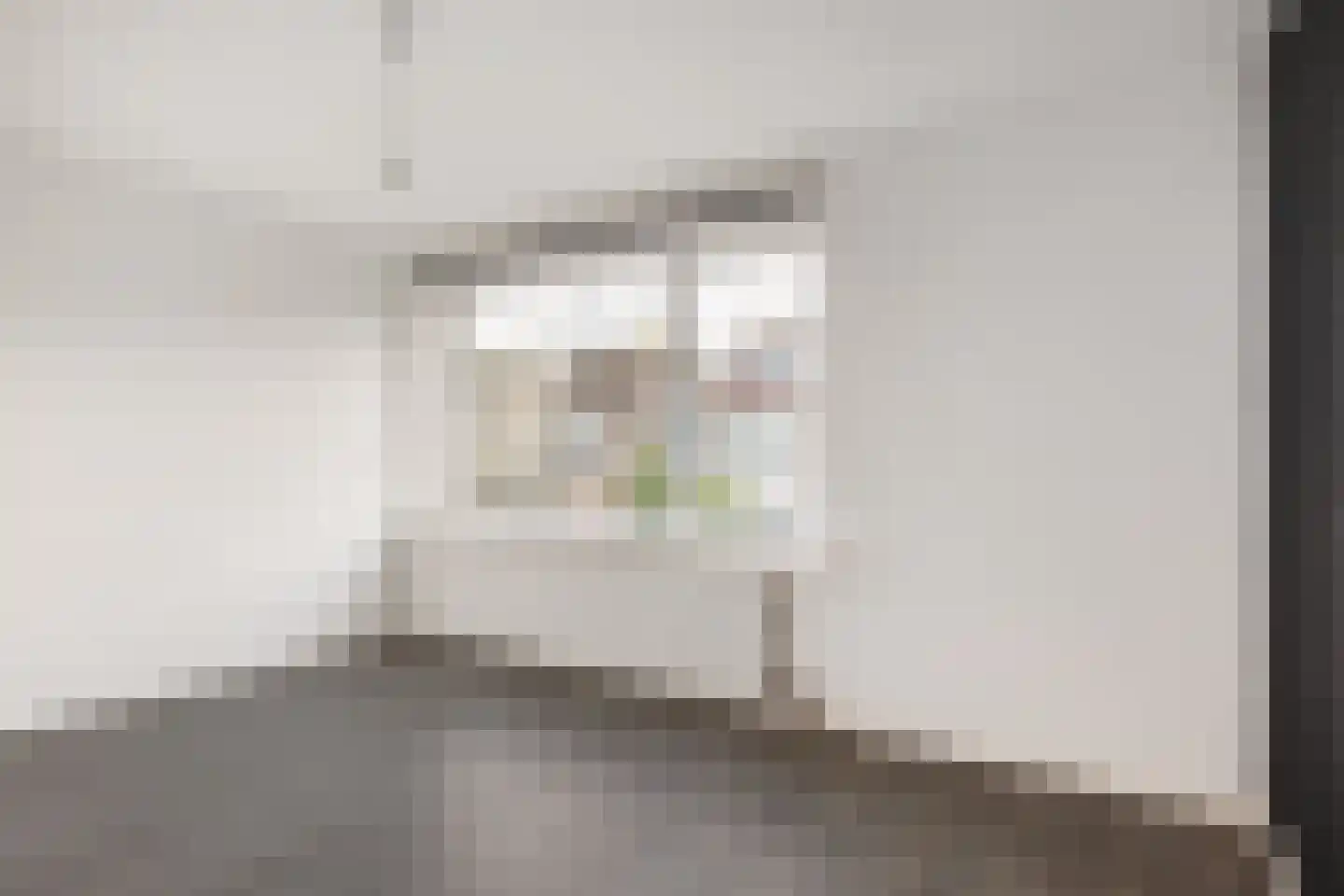 Populierenlaan 90 Zwanenburg thumbnail 15