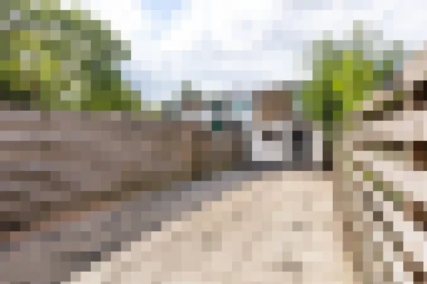 Populierenlaan 90 Zwanenburg thumbnail 23