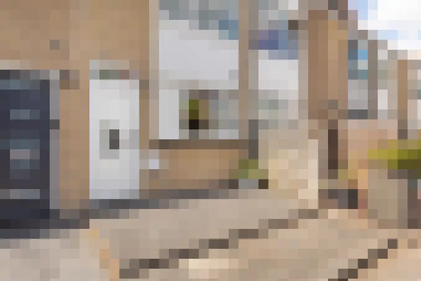 Populierenlaan 90 Zwanenburg thumbnail 25