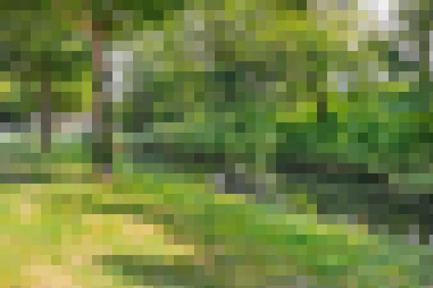 Populierenlaan 90 Zwanenburg thumbnail 28