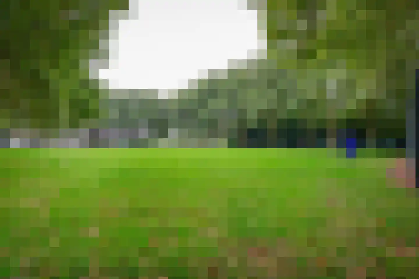 Populierenlaan 90 Zwanenburg thumbnail 30
