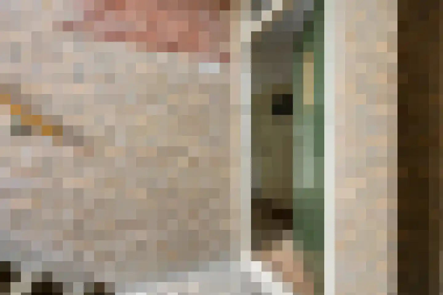 Populierenlaan 99 Groningen thumbnail 10