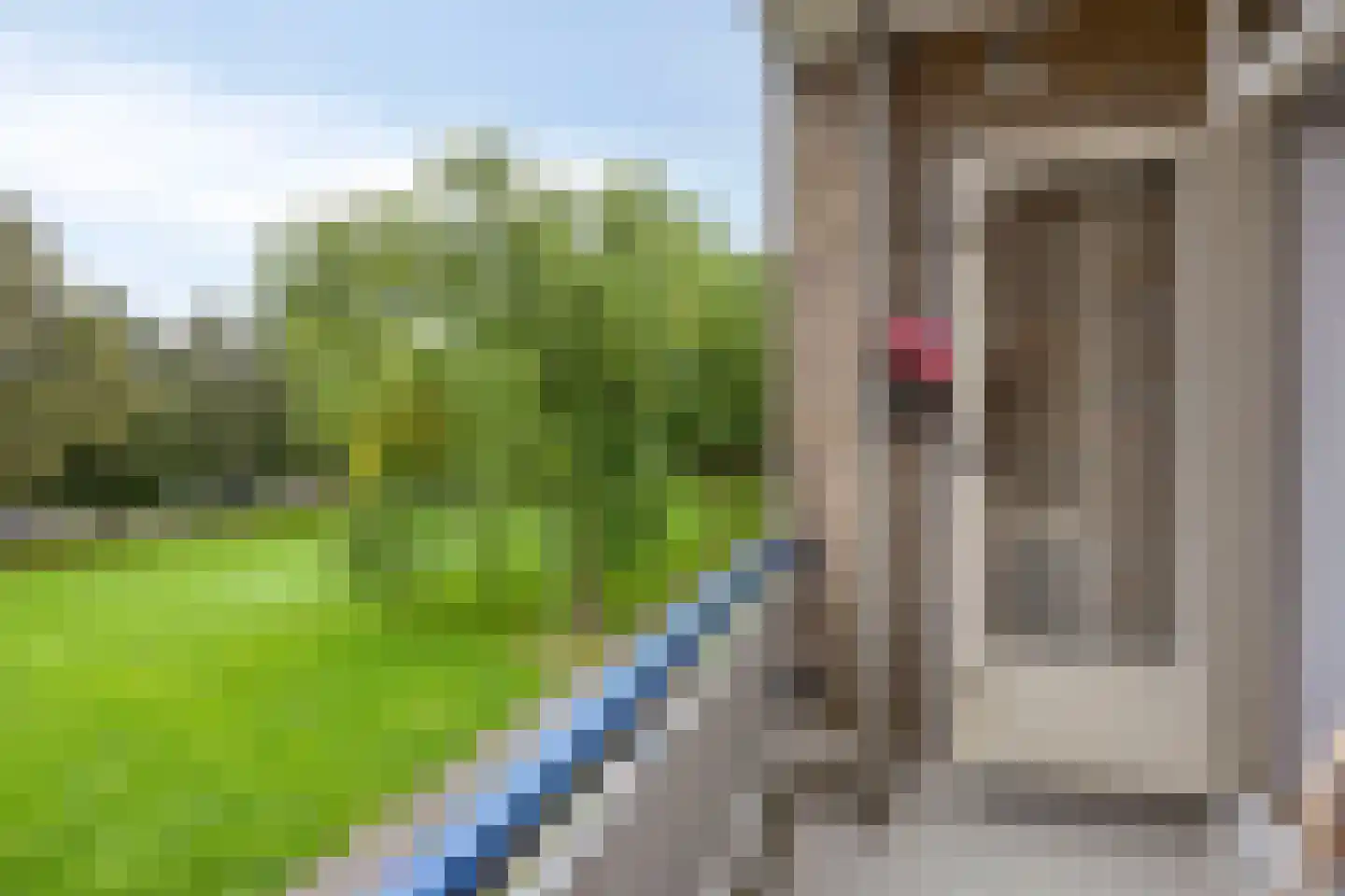 Populierenlaan 99 Groningen thumbnail 25