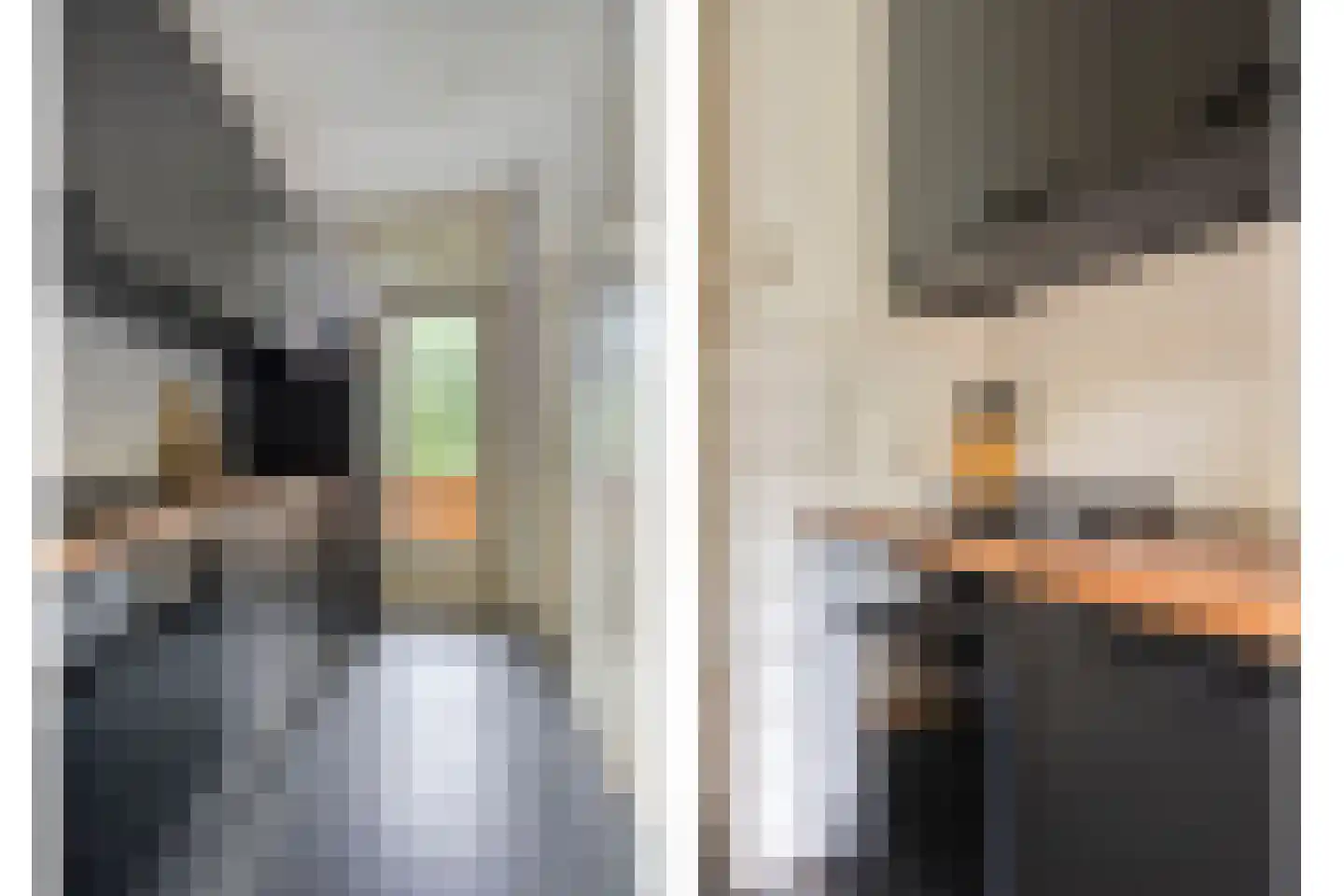 Populierenlaan 99 Groningen thumbnail 28