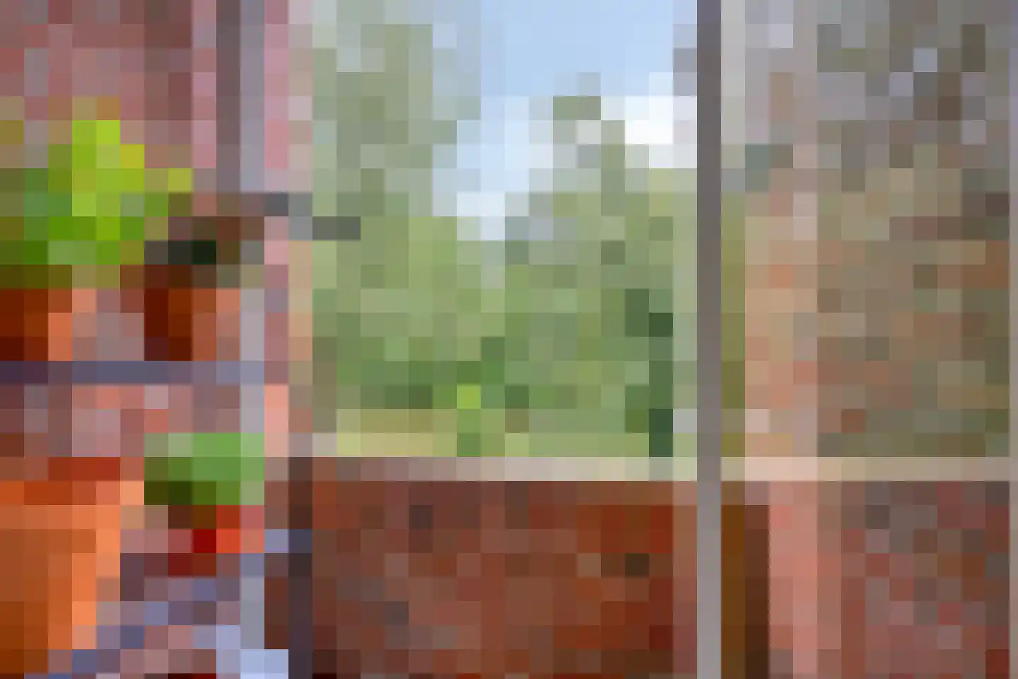 Populierenlaan 99 Groningen thumbnail 29