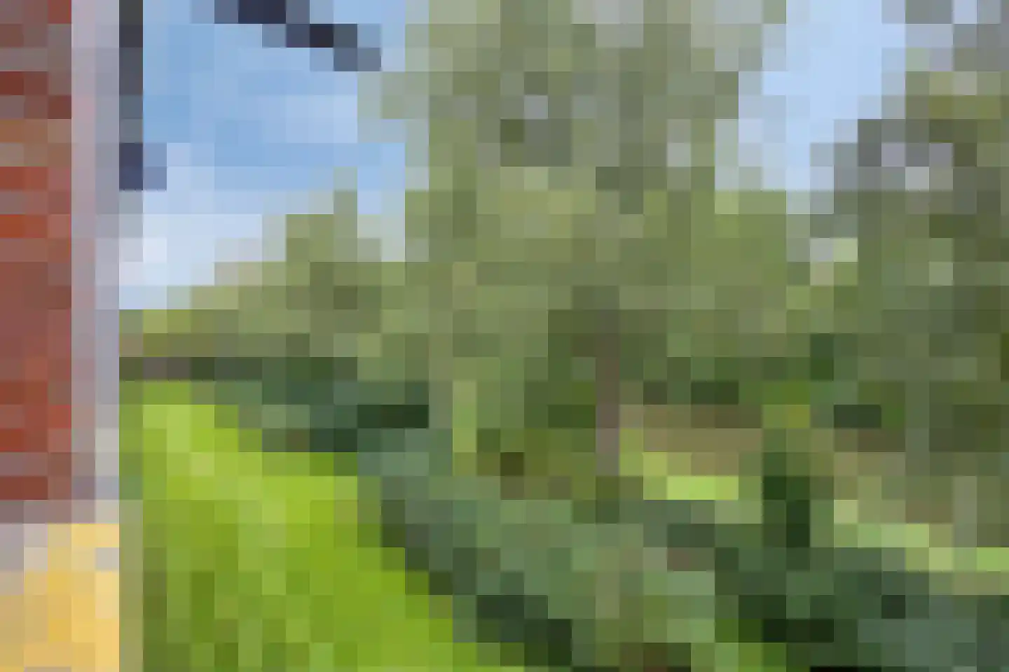 Populierenlaan 99 Groningen thumbnail 30
