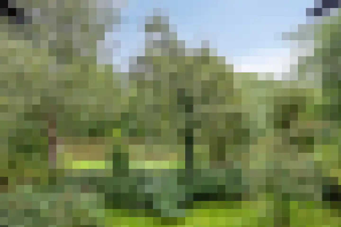 Populierenlaan 99 Groningen thumbnail 31