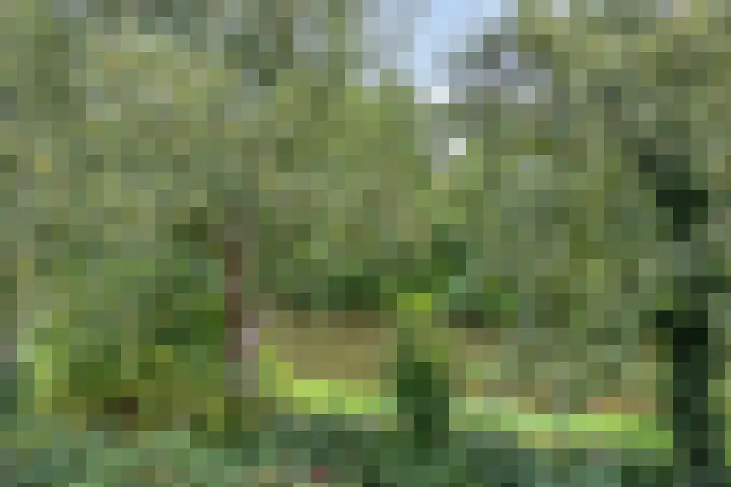 Populierenlaan 99 Groningen thumbnail 32