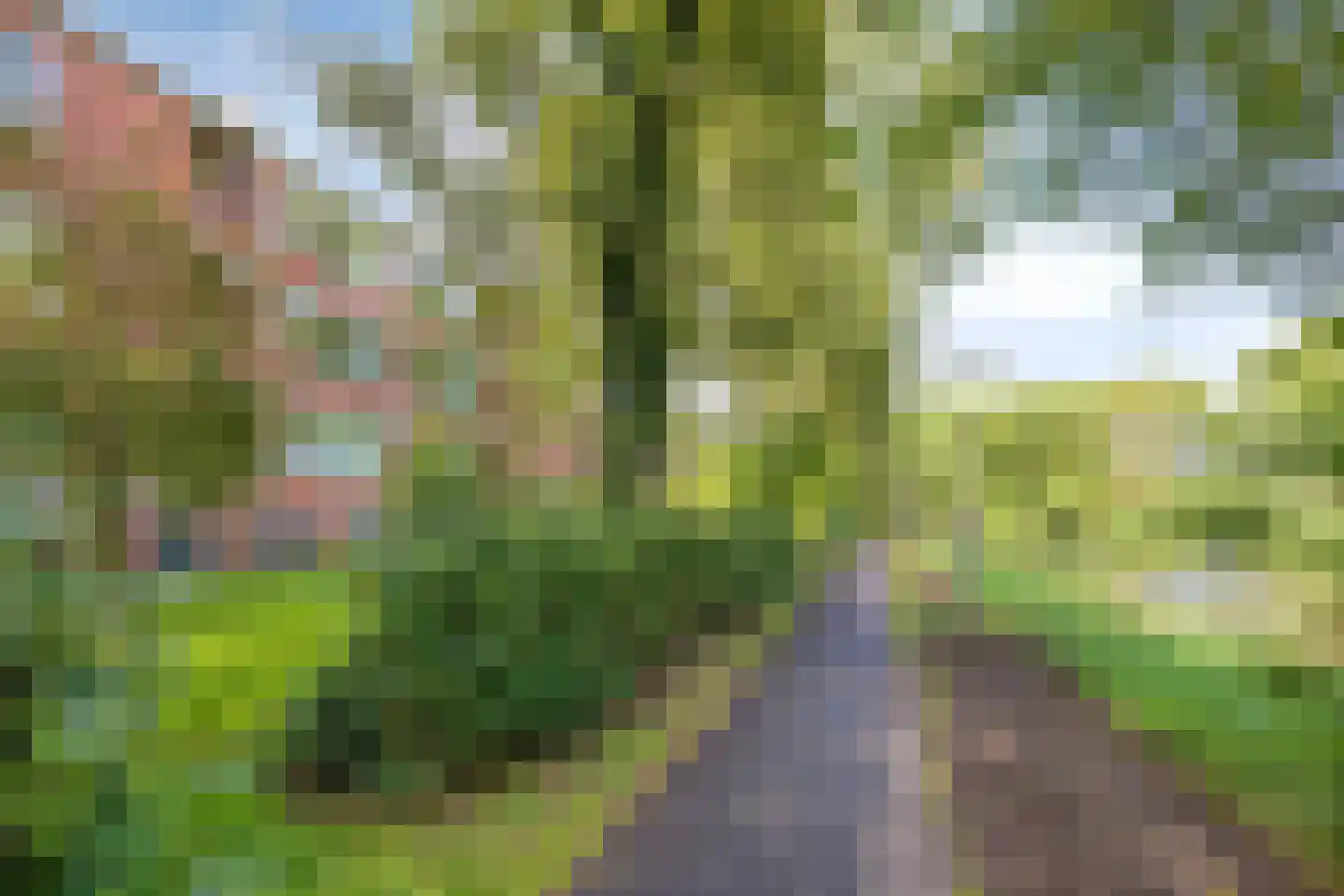 Populierenlaan 99 Groningen thumbnail 36
