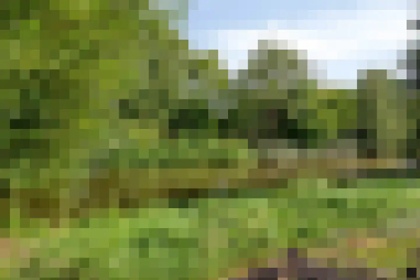 Populierenlaan 99 Groningen thumbnail 37
