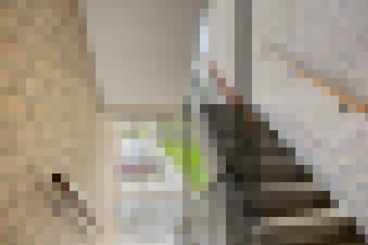 Populierenlaan 99 Groningen thumbnail 9