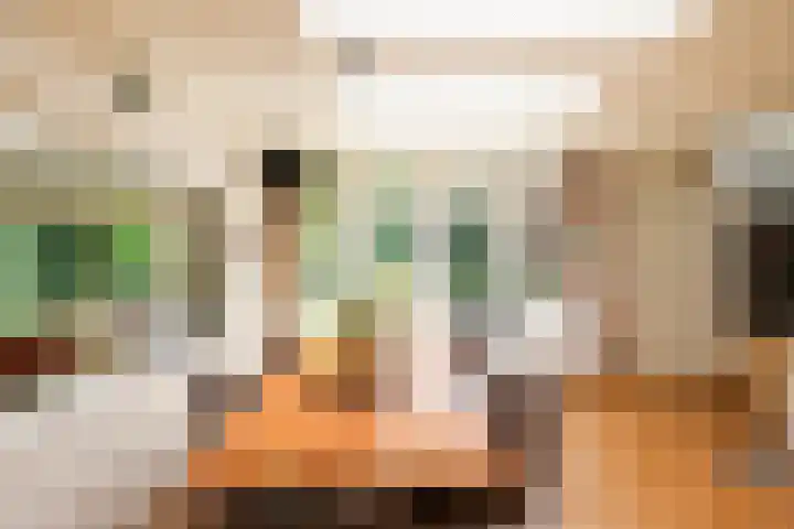 Populierenlaantje 3 Huizen thumbnail 11