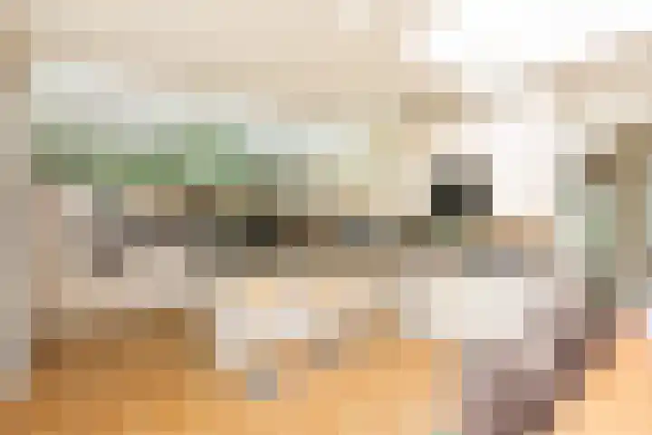 Populierenlaantje 3 Huizen thumbnail 12