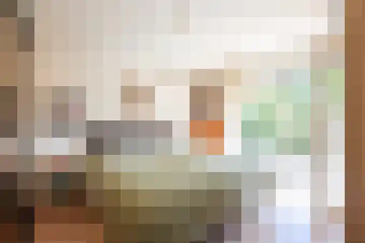 Populierenlaantje 3 Huizen thumbnail 18