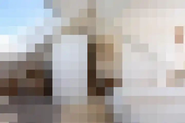 Populierenlaantje 3 Huizen thumbnail 23