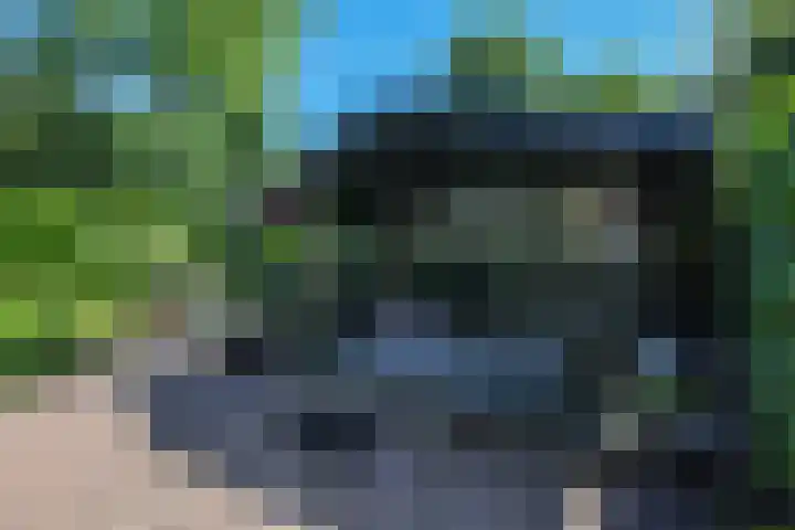 Populierenlaantje 3 Huizen thumbnail 25