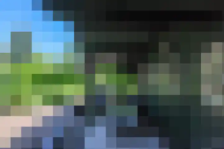 Populierenlaantje 3 Huizen thumbnail 26