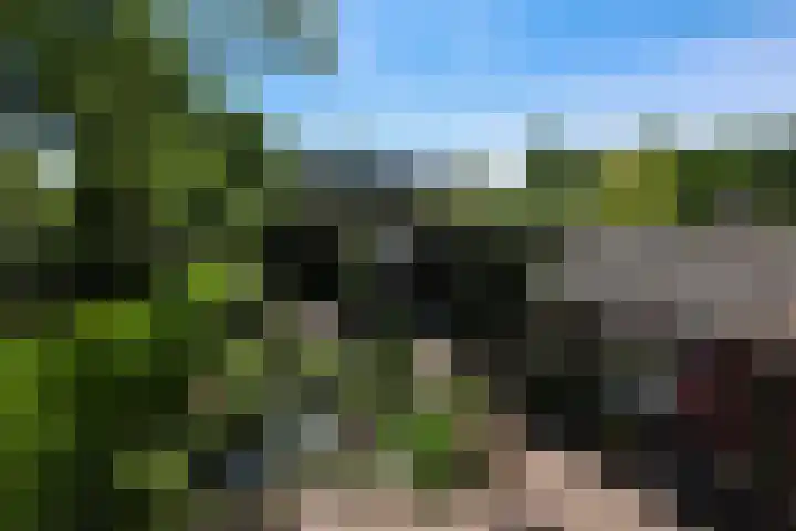 Populierenlaantje 3 Huizen thumbnail 4