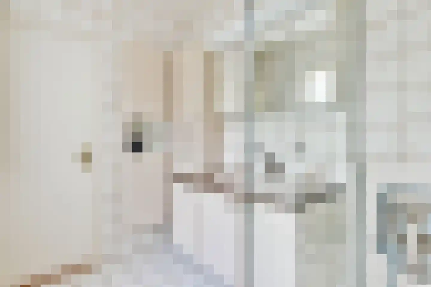 Populierenlaantje 5 a Huizen thumbnail 20