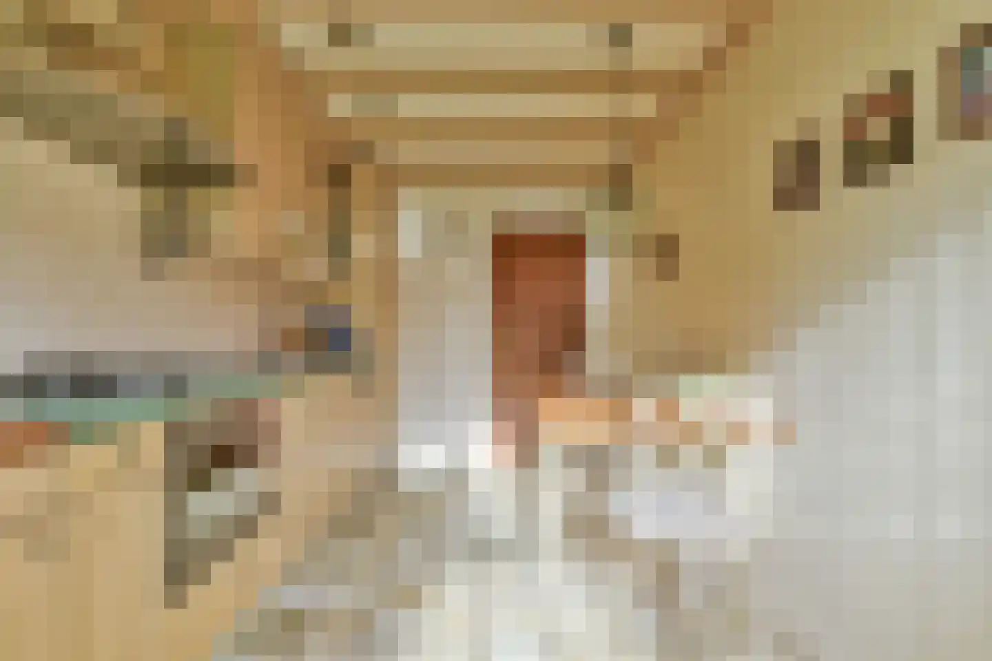 Populierenlaantje 5 a Huizen thumbnail 22