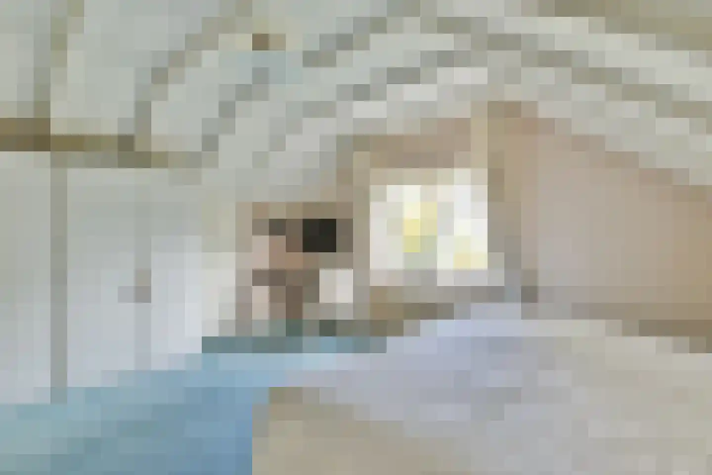 Populierenlaantje 5 a Huizen thumbnail 25