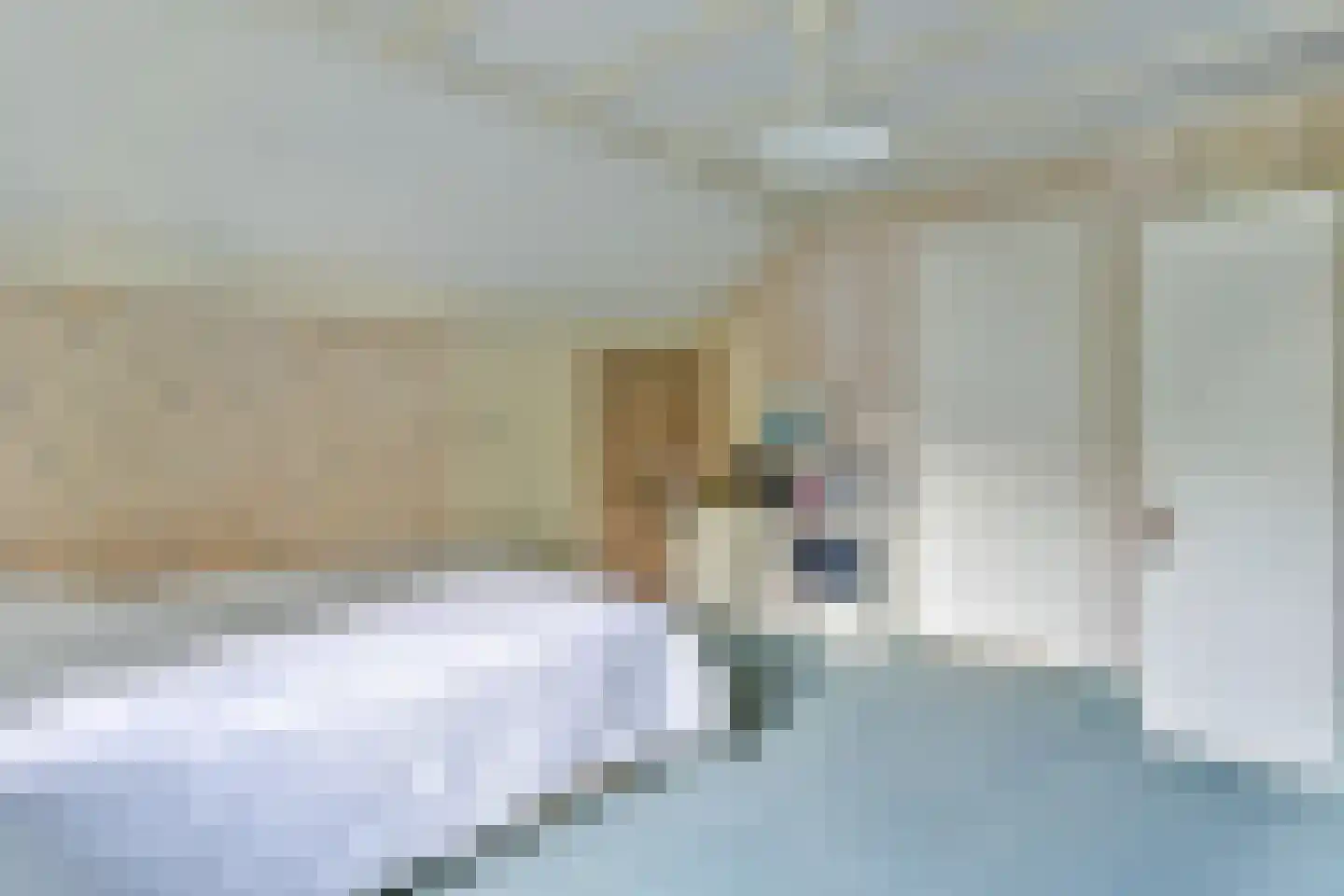 Populierenlaantje 5 a Huizen thumbnail 28