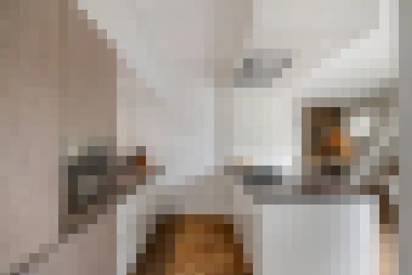 Populierenplein 13 Raalte thumbnail 13