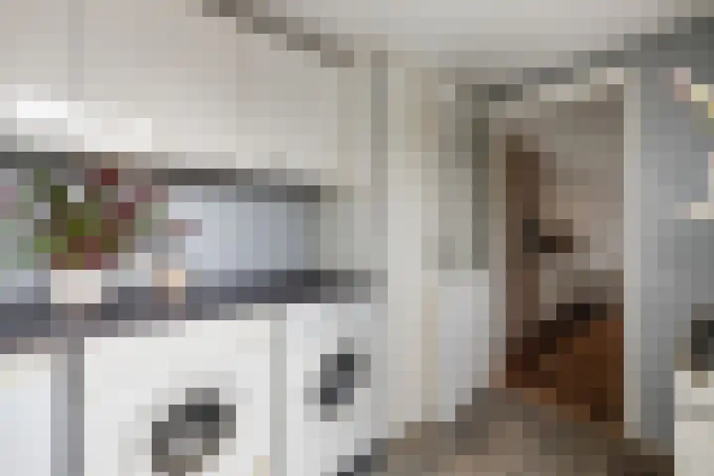 Populierenplein 13 Raalte thumbnail 15