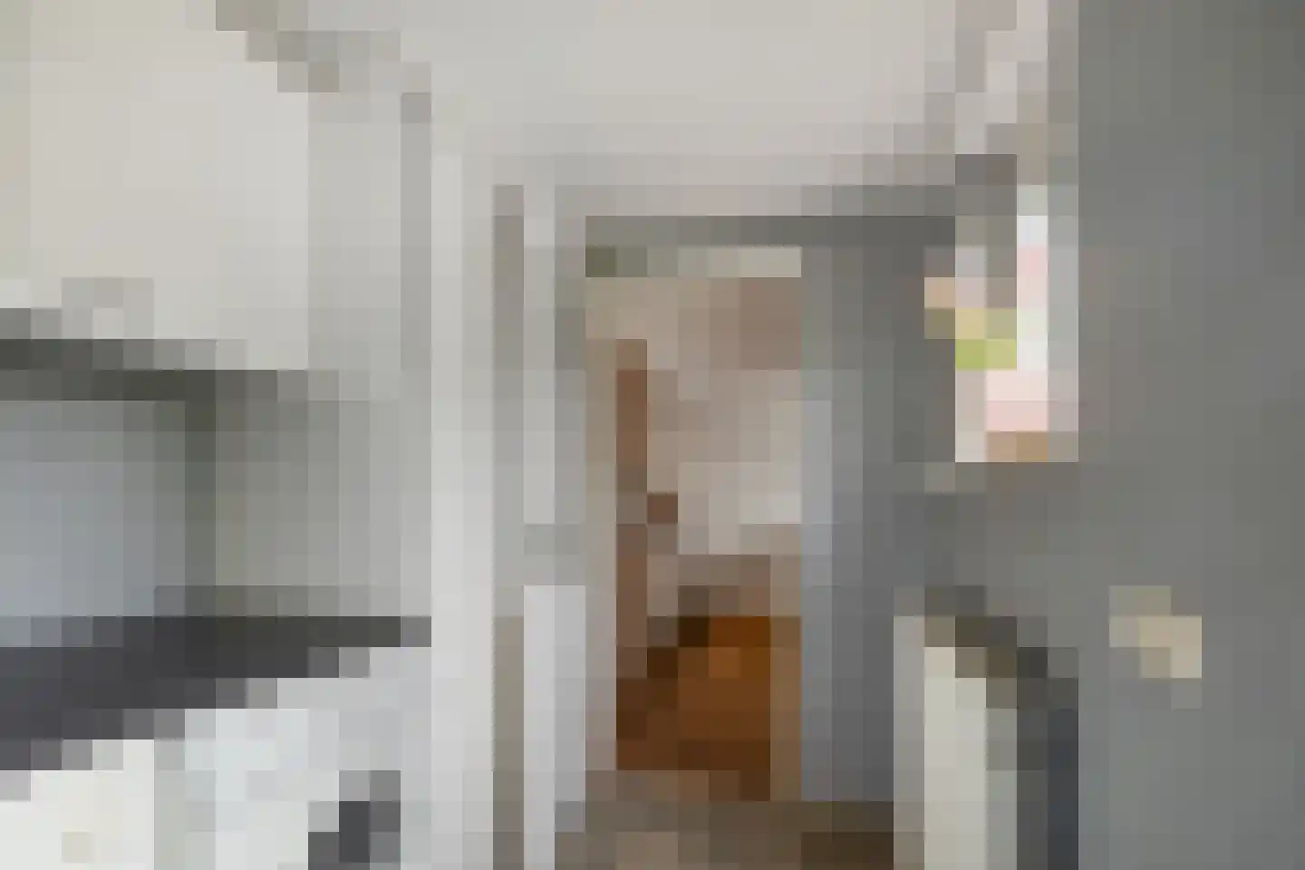 Populierenplein 13 Raalte thumbnail 16