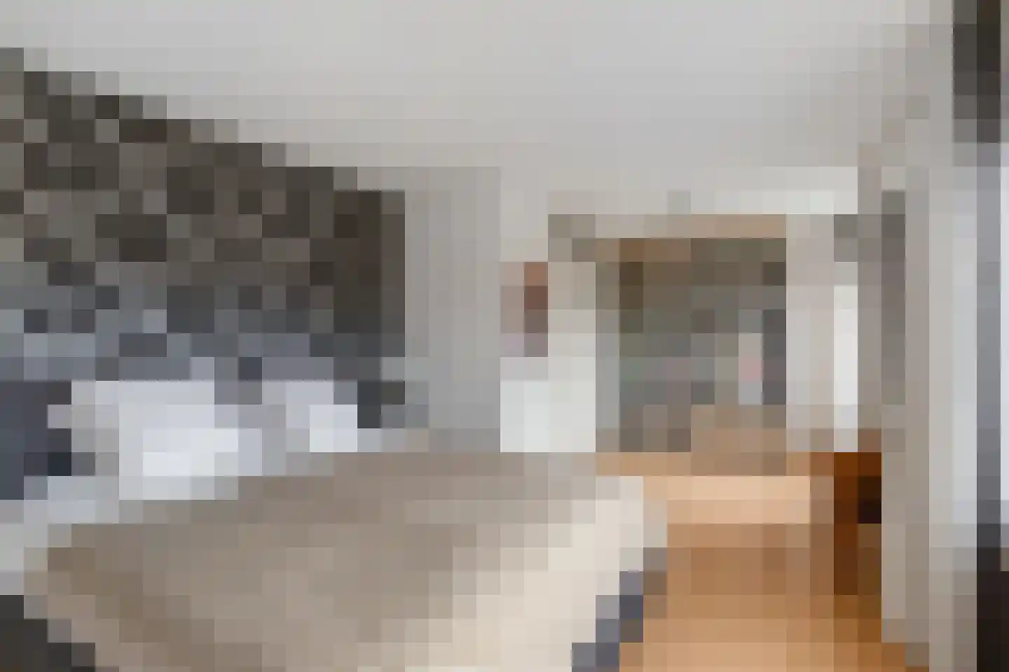 Populierenplein 13 Raalte thumbnail 21