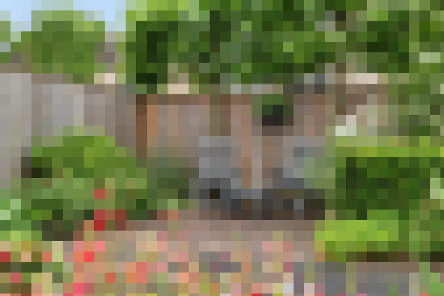 Populierenplein 13 Raalte thumbnail 38