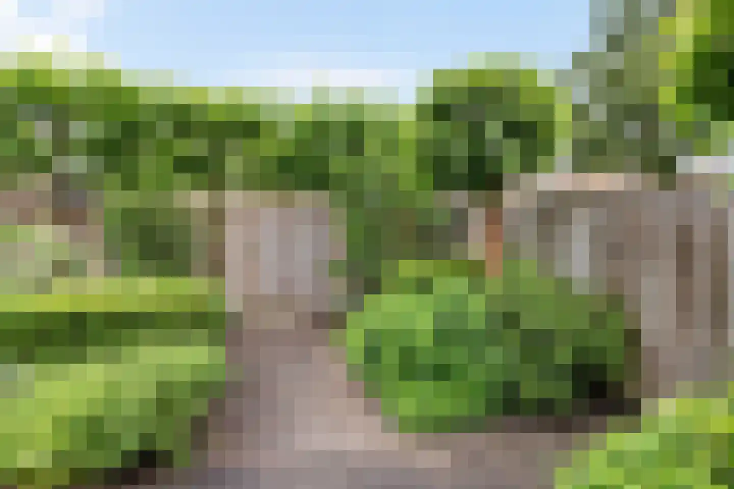 Populierenplein 13 Raalte thumbnail 39