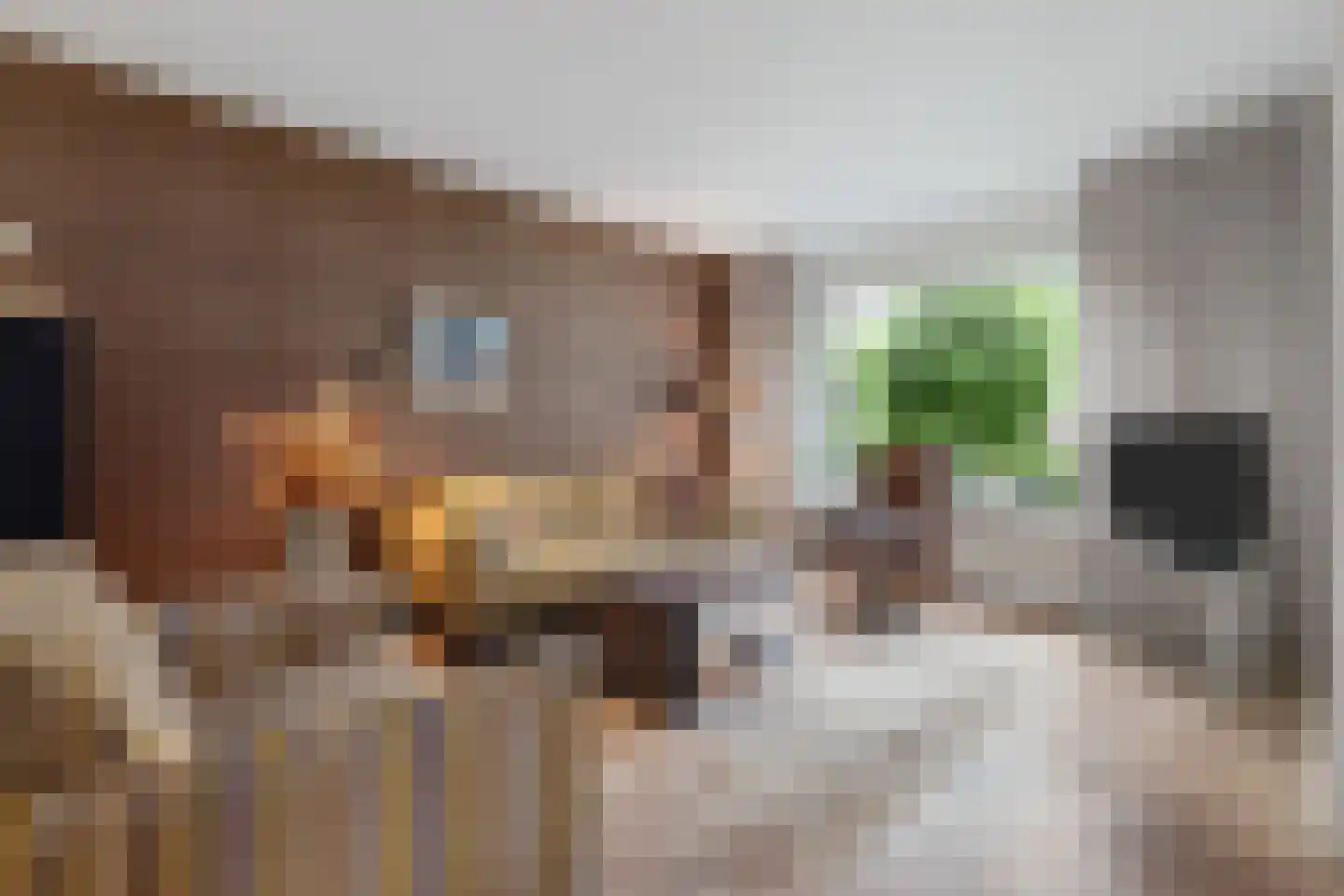 Populierenplein 13 Raalte thumbnail 4