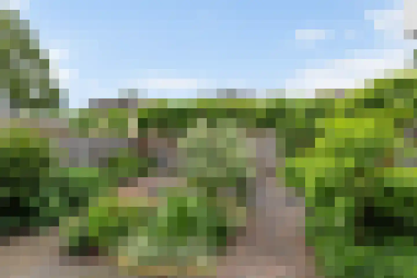 Populierenplein 13 Raalte thumbnail 42